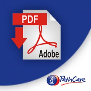 Download PDF